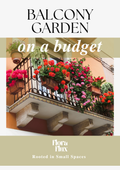 Balcony garden on a budget
