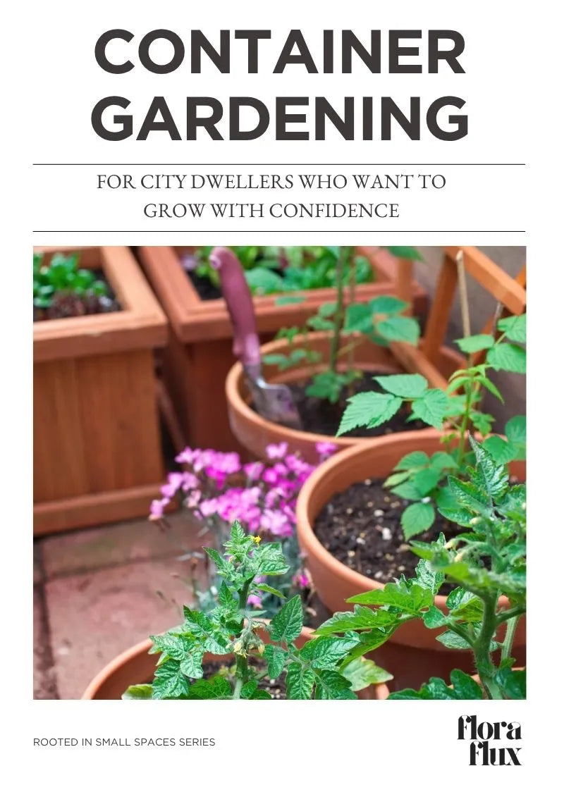 The Ultimate Guide to Container Gardening for City Dwellers