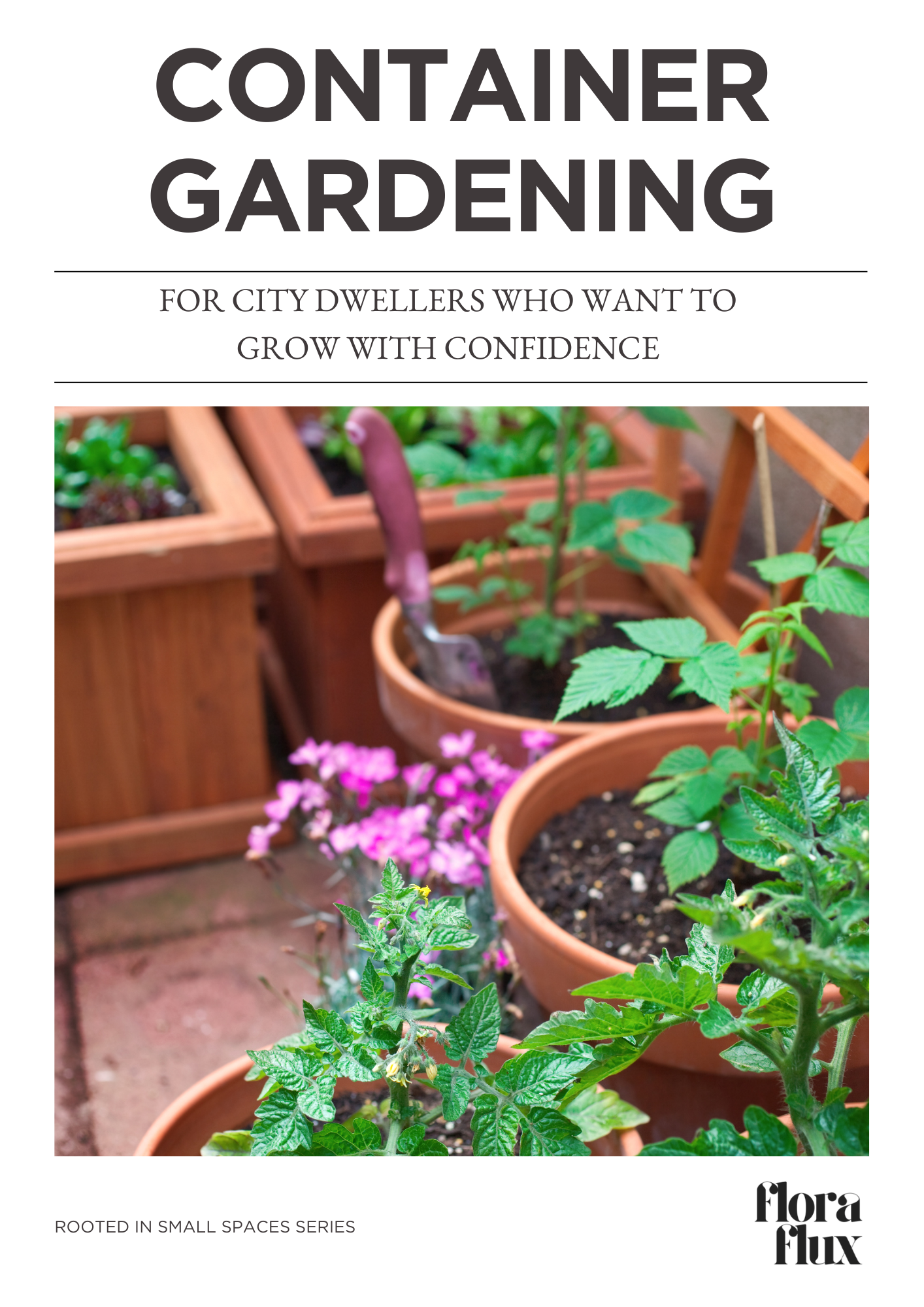 The Ultimate Guide to Container Gardening for City Dwellers