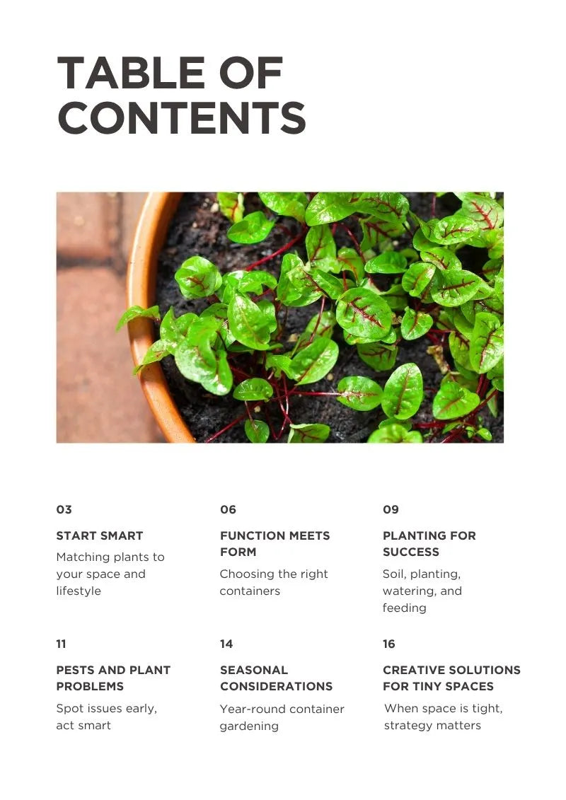 The Ultimate Guide to Container Gardening for City Dwellers