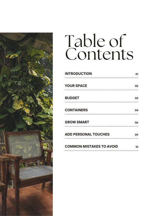 Balcony garden on a budget