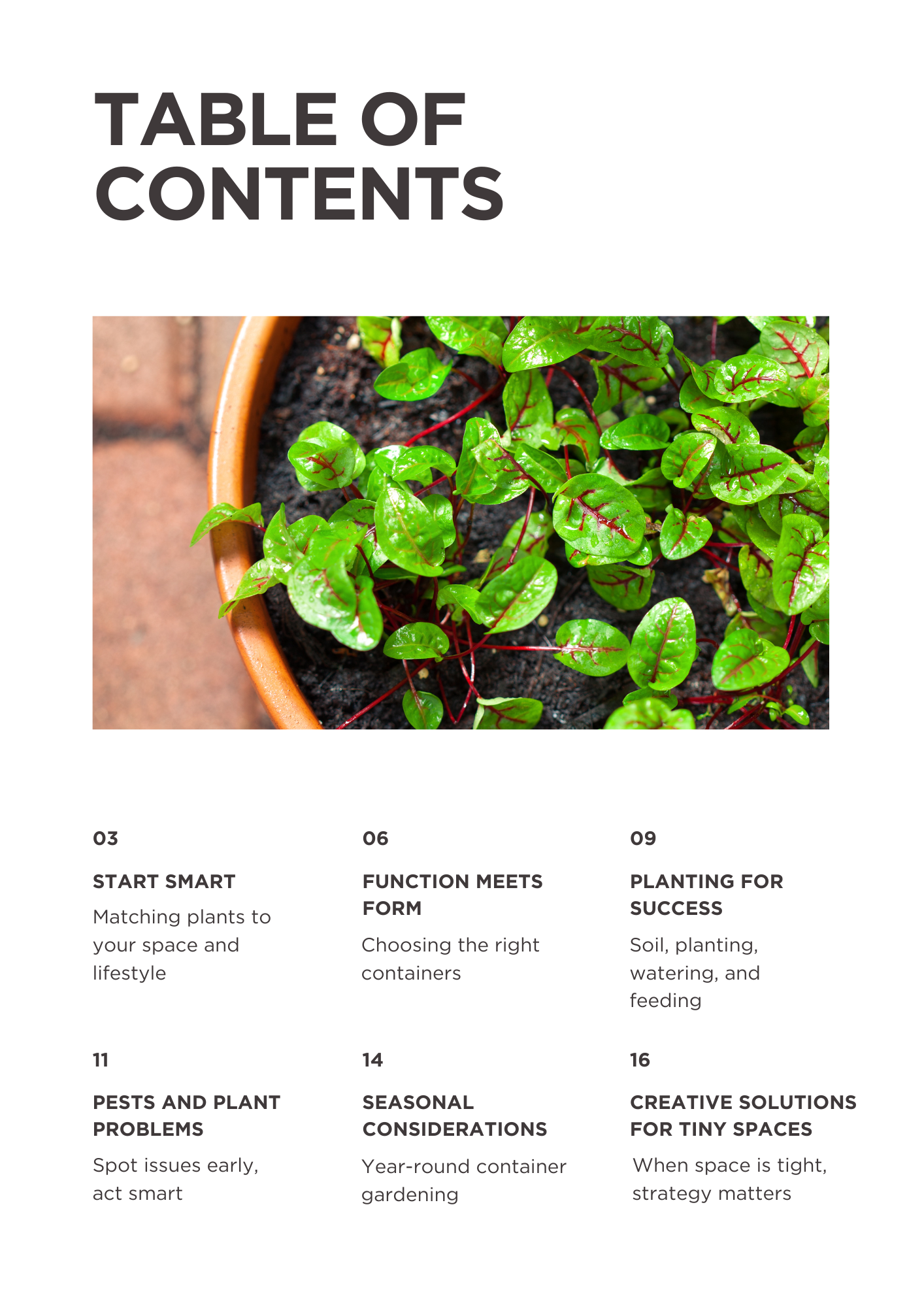 The Ultimate Guide to Container Gardening for City Dwellers