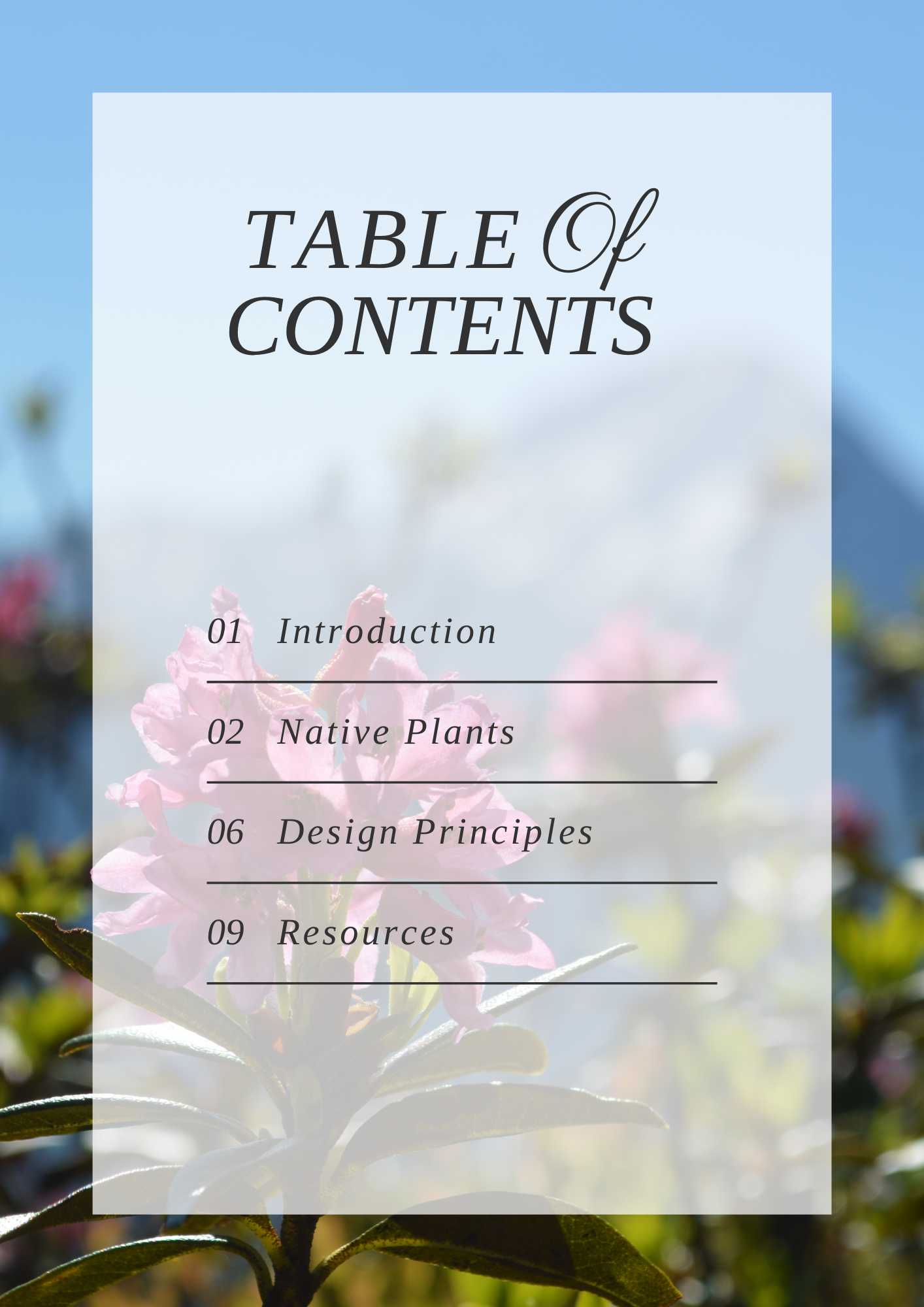 Luxurious garden with Austrian native plants