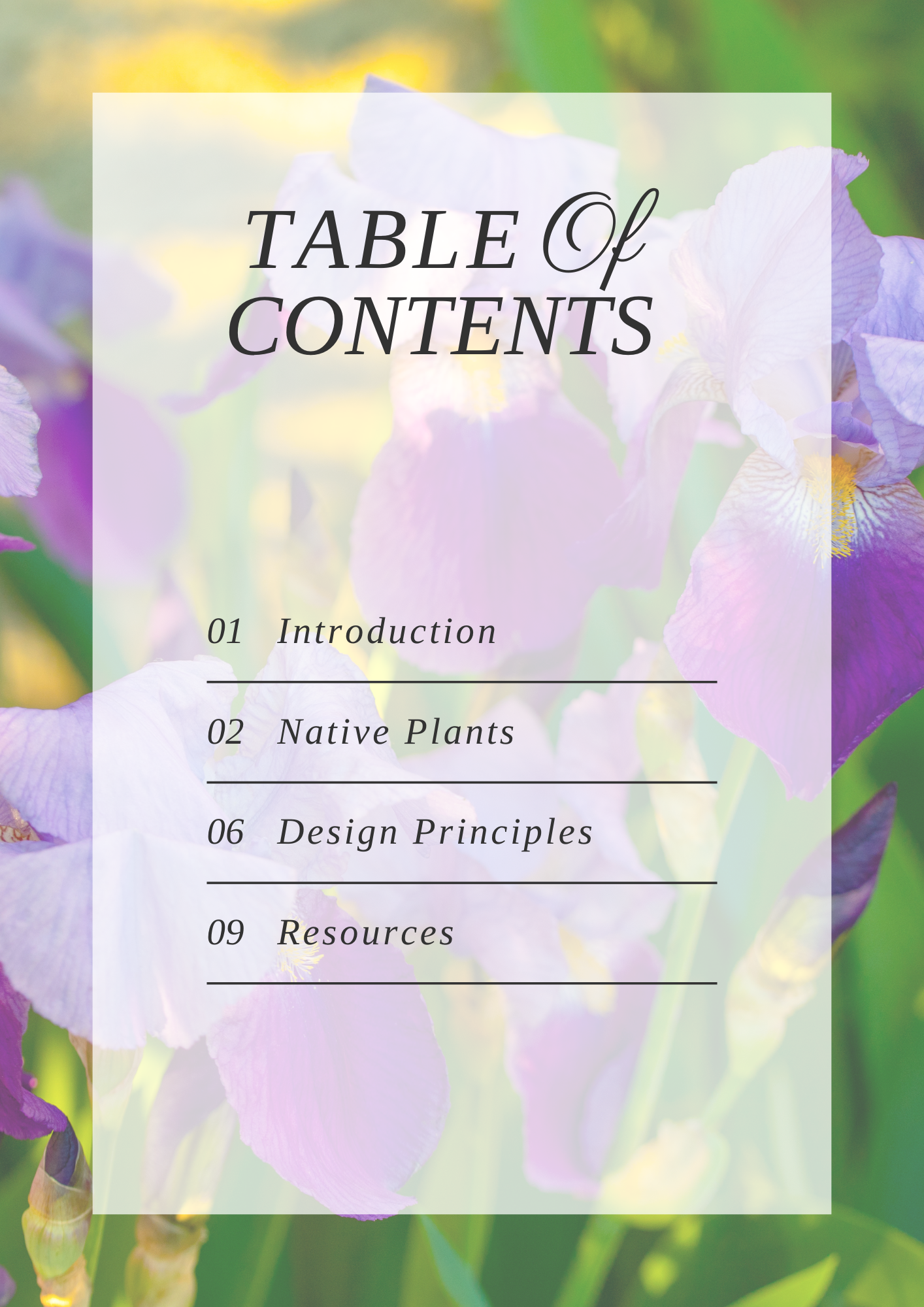 Luxurious garden with UK native plants