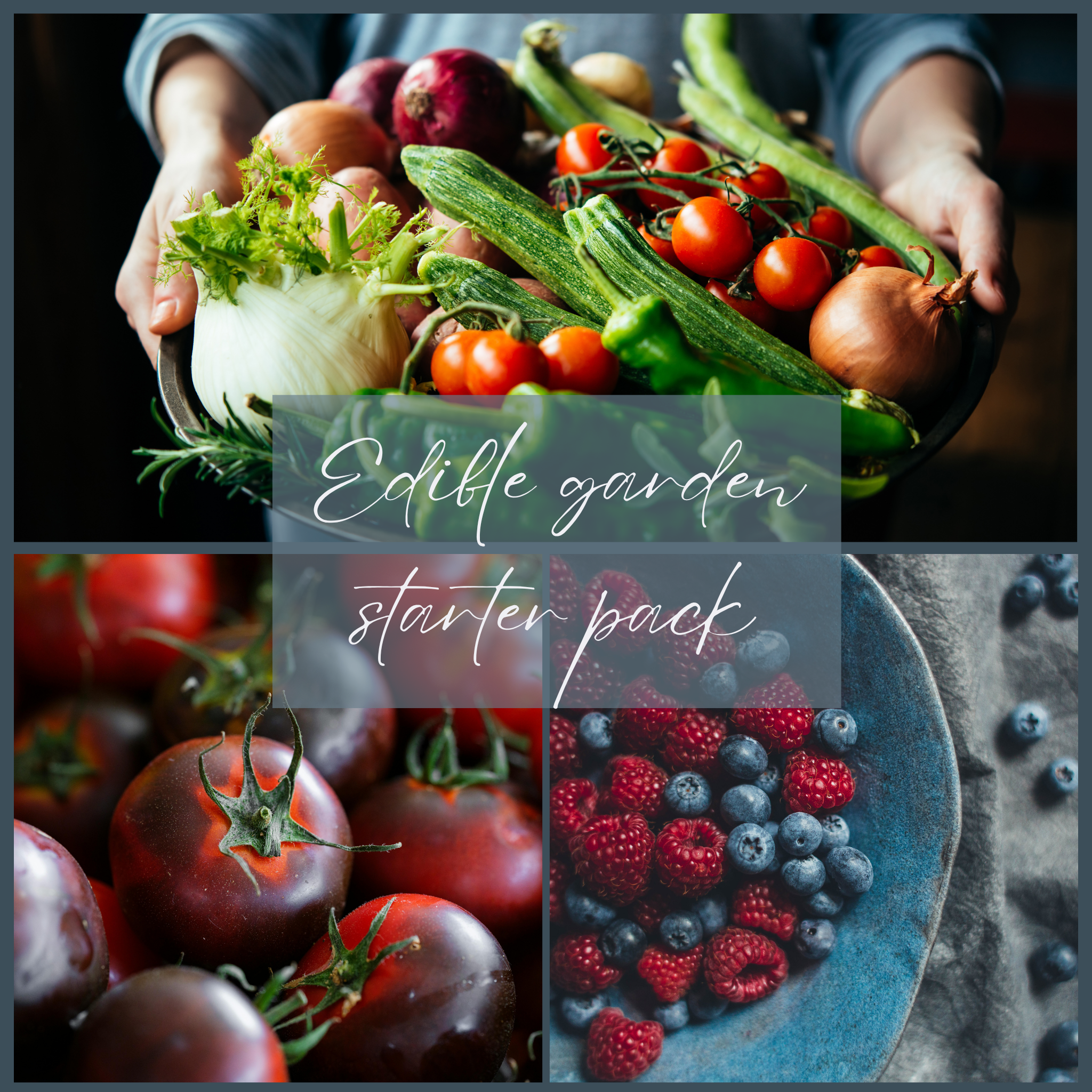 Edible garden starter pack