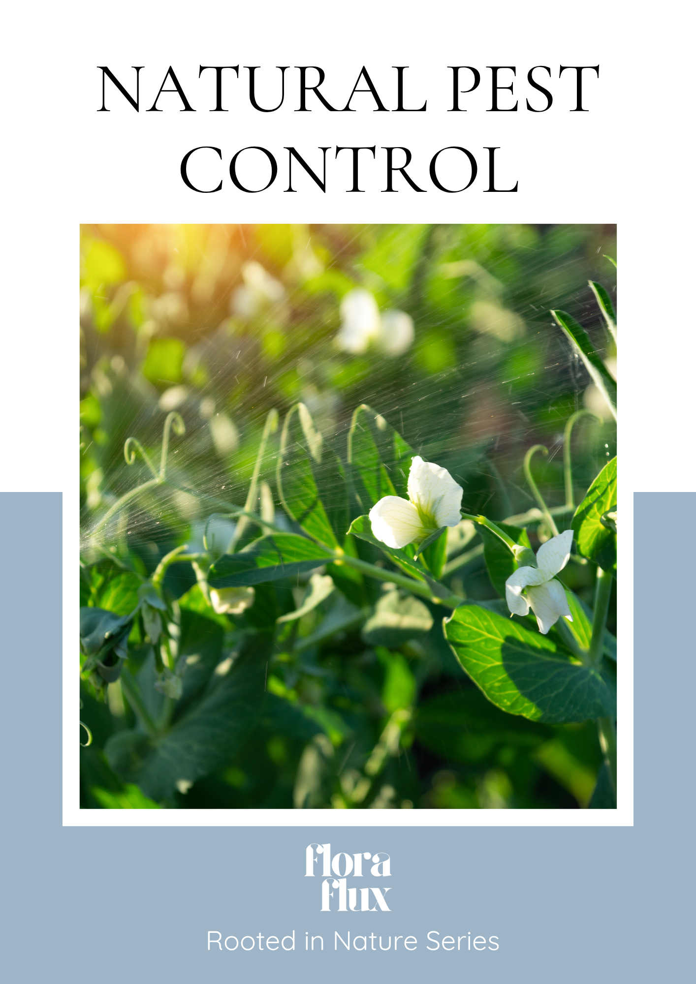 Natural Pest Control