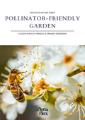Pollinator-Friendly Garden