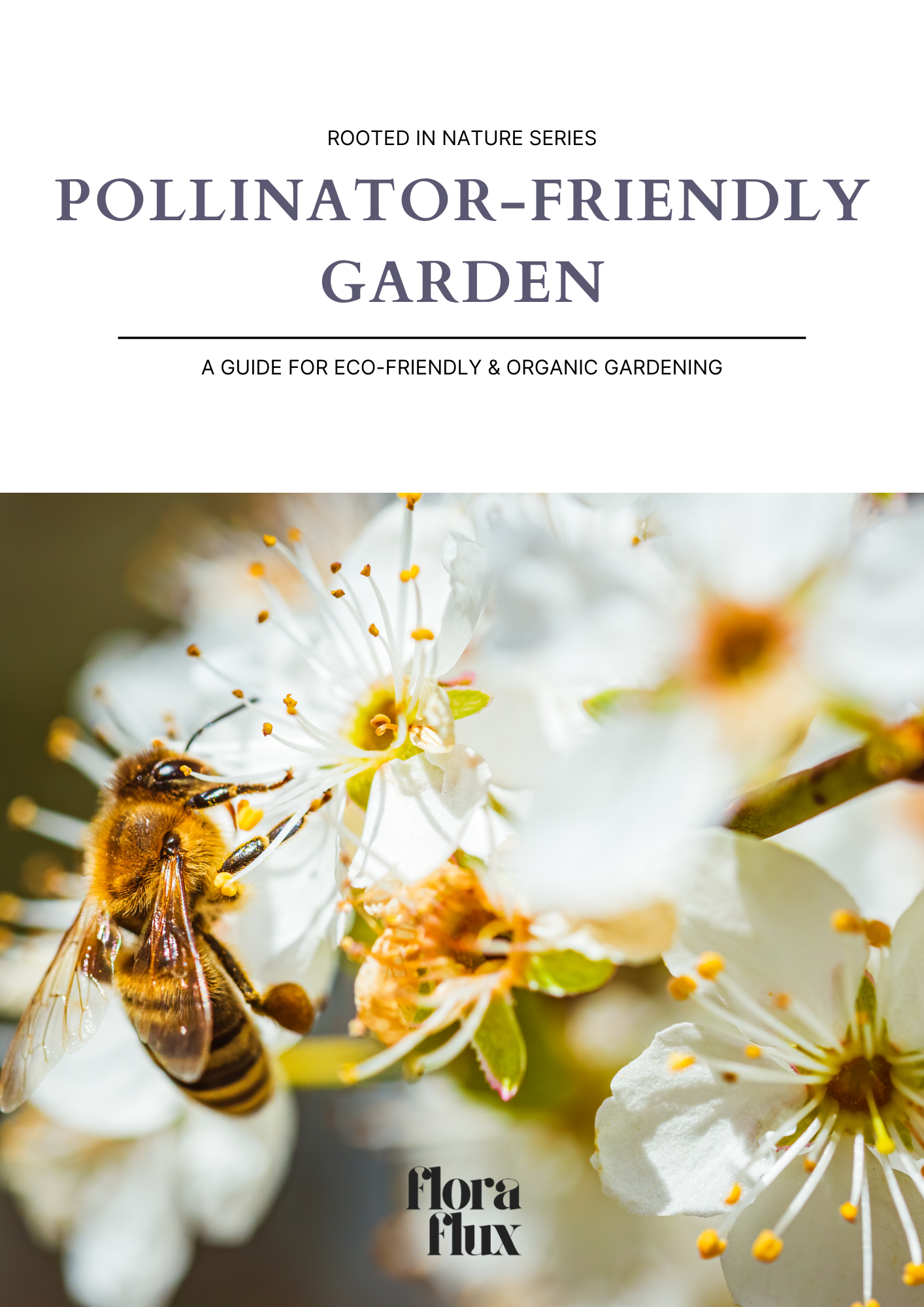 Pollinator-Friendly Garden